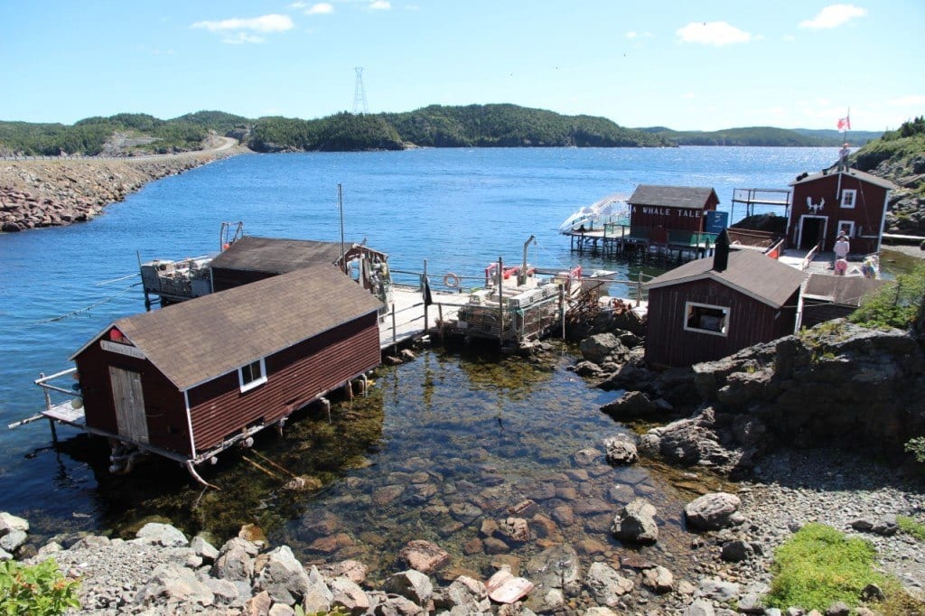 Cod Jigging (Fishing) at Prime Berth in Newfoundland, Canada.